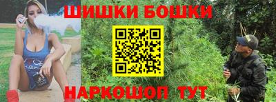 МДПВ Бийск
