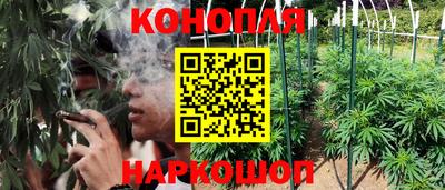МДПВ Бийск
