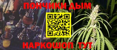 МДПВ Бийск
