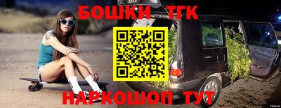 МДПВ Бийск