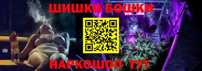 МДПВ Бийск