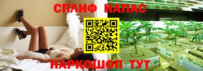 МДПВ Бийск